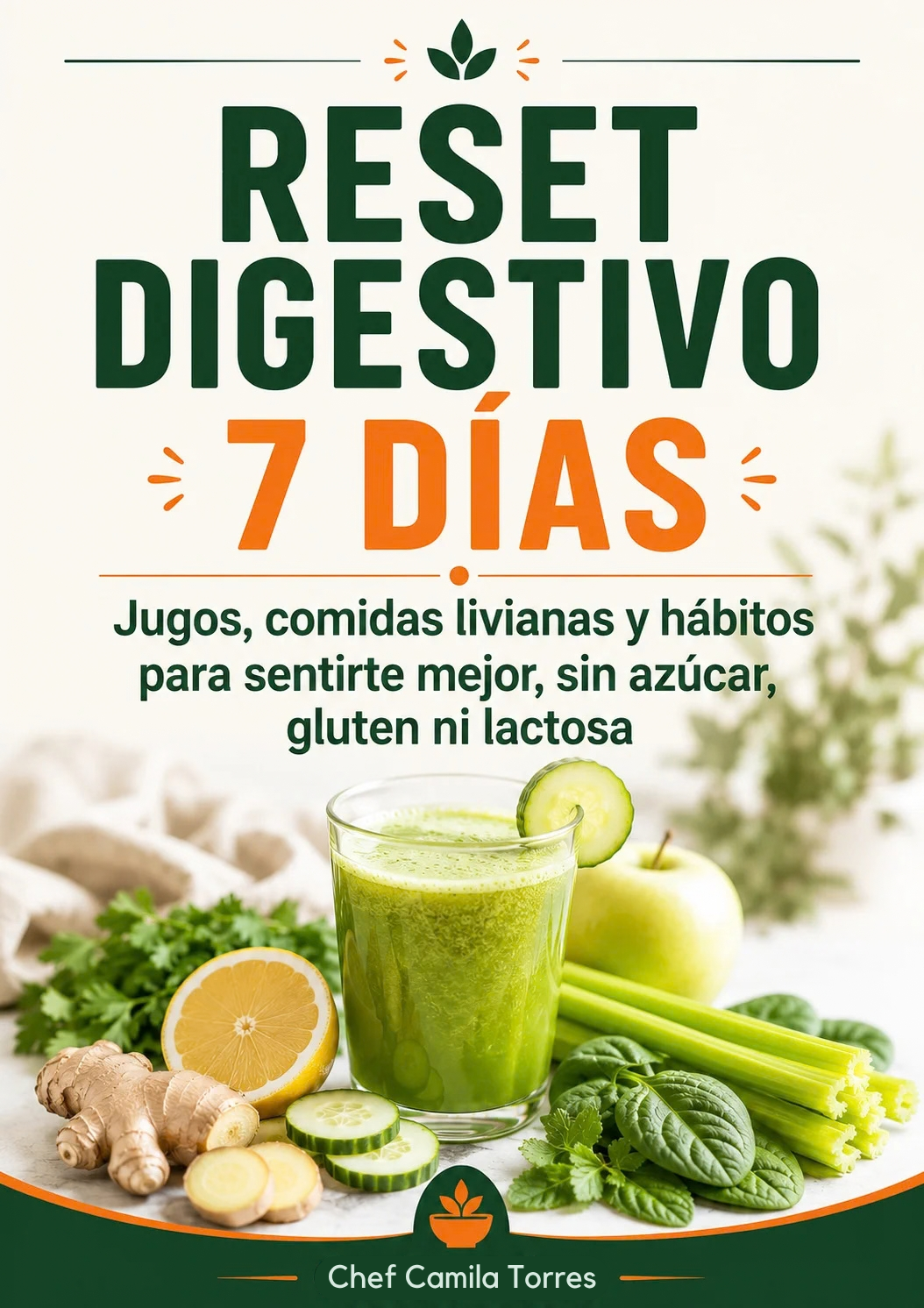 Portada de Reset digestivo